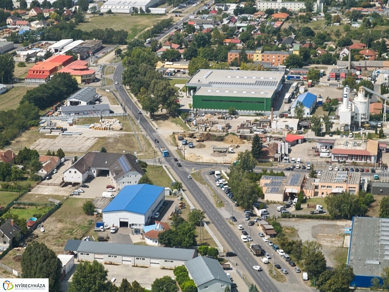 Parlagfű felderítés - fotó Szarka Lajos