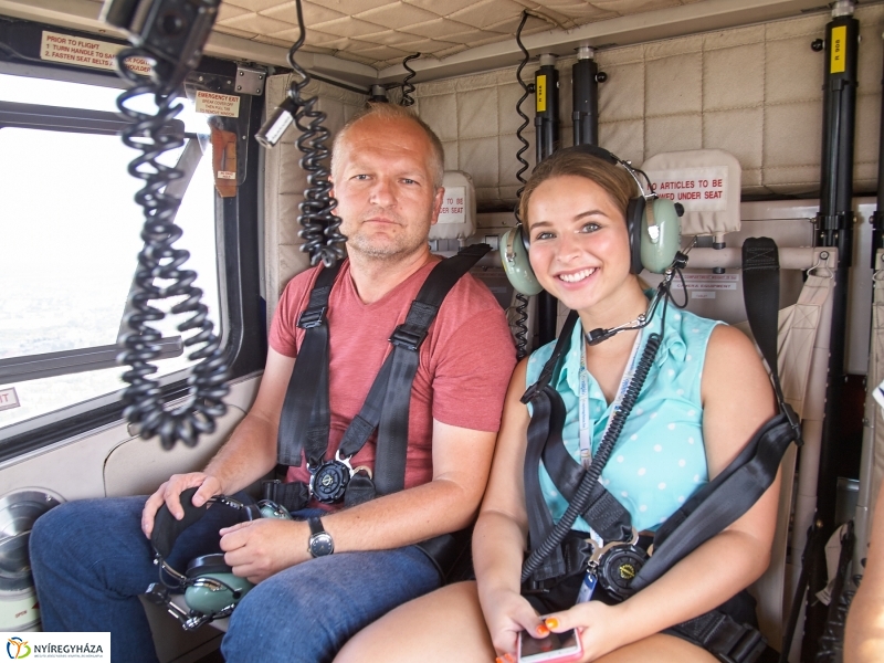 Parlagfű felderítés - fotó Szarka Lajos