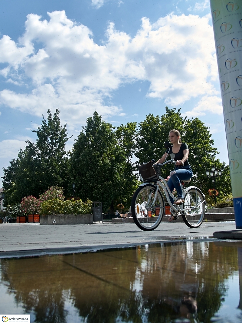 Hőségriadó - fotó Szarka Lajos