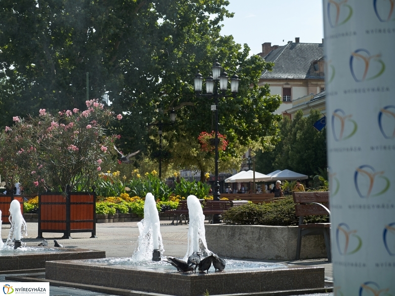 Hőségriadó - fotó Szarka Lajos