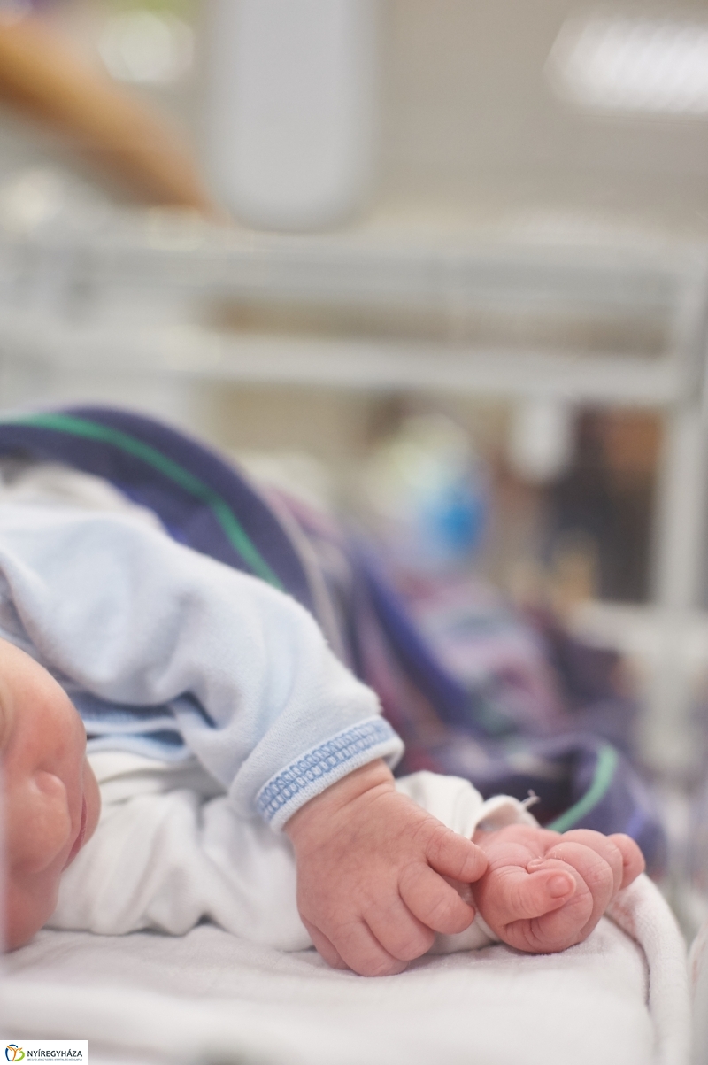 Anyatejes Táplálás Világnapja 2018 - fotó Szarka Lajos