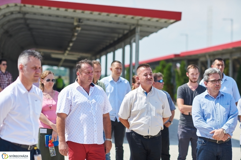 LEGO buszok - fotó Szarka Lajos