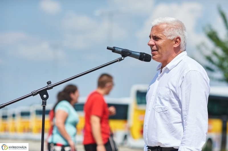 LEGO buszok - fotó Szarka Lajos