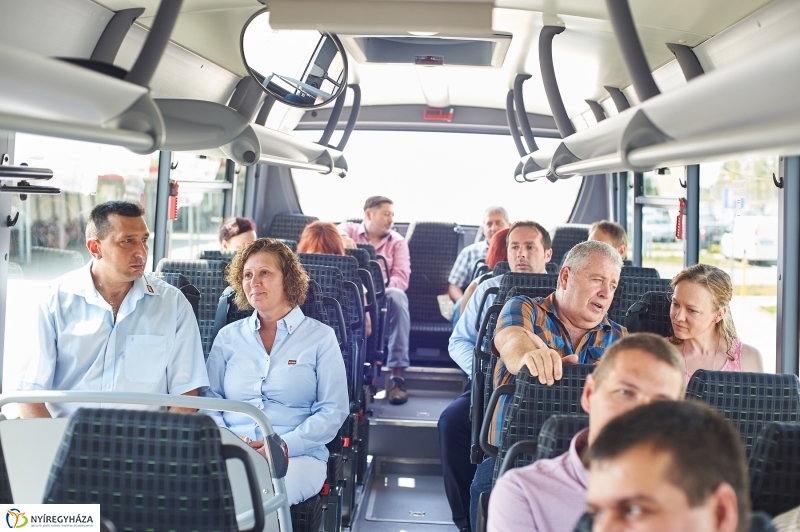 LEGO buszok - fotó Szarka Lajos