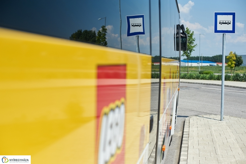 LEGO buszok - fotó Szarka Lajos