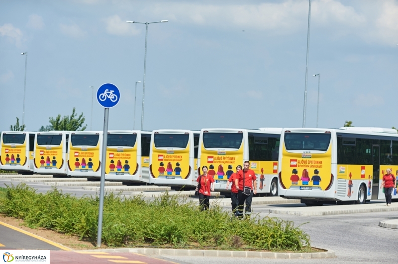 LEGO buszok - fotó Szarka Lajos