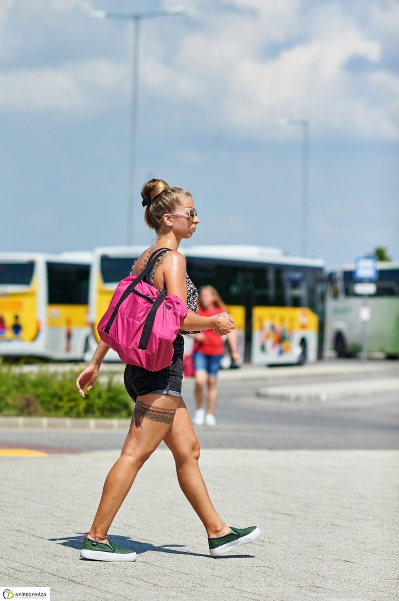 LEGO buszok - fotó Szarka Lajos