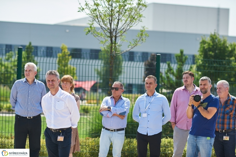 LEGO buszok - fotó Szarka Lajos