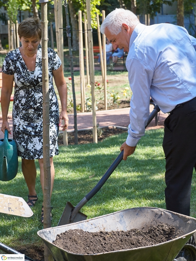Játszótér a Jósavárosban - fotó Szarka Lajos