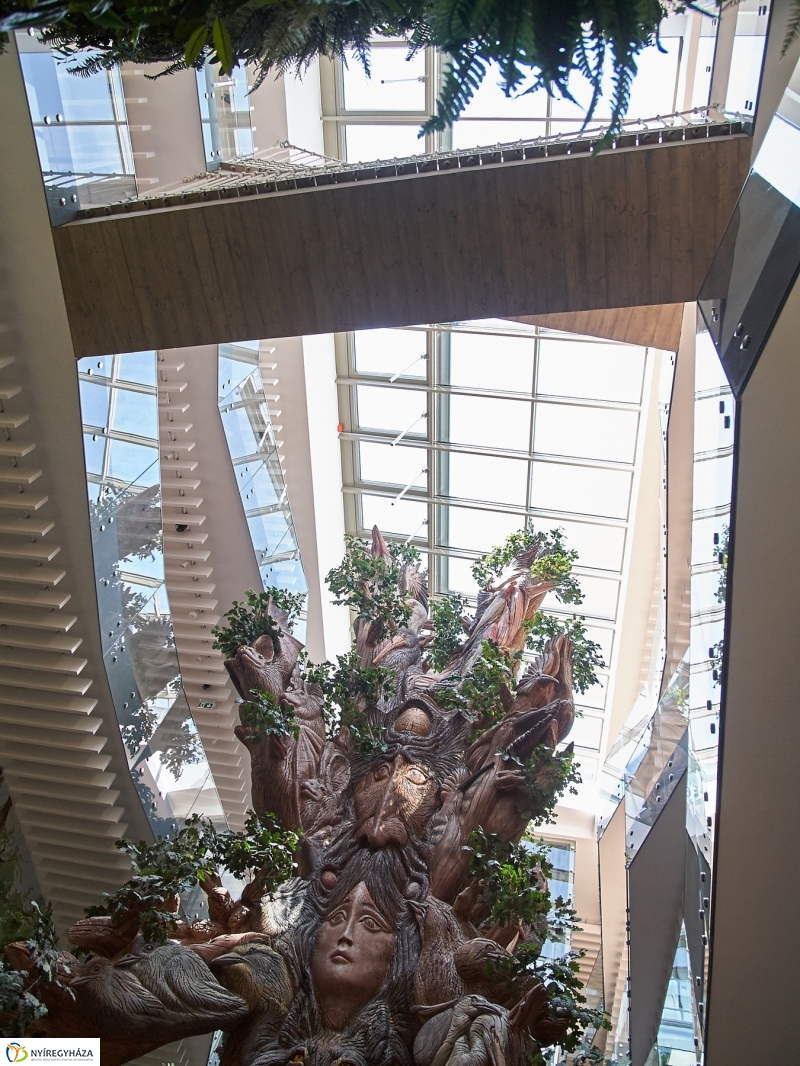 Első vendégek a Hotel Pangeaban - fotó Szarka Lajos