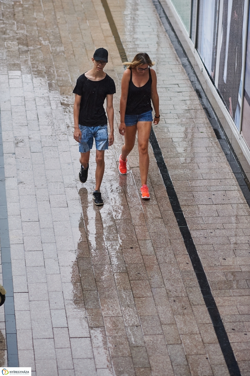 Egy kis nyári zápor