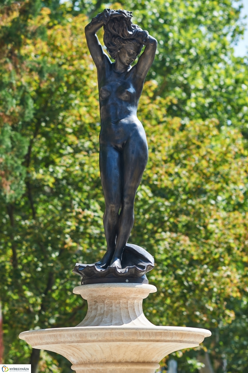 Vénusz visszatérése - fotó Szarka Lajos