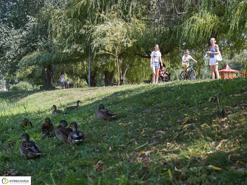 Egy nyári hétköznap a Bujtoson - fotó Szarka Lajos