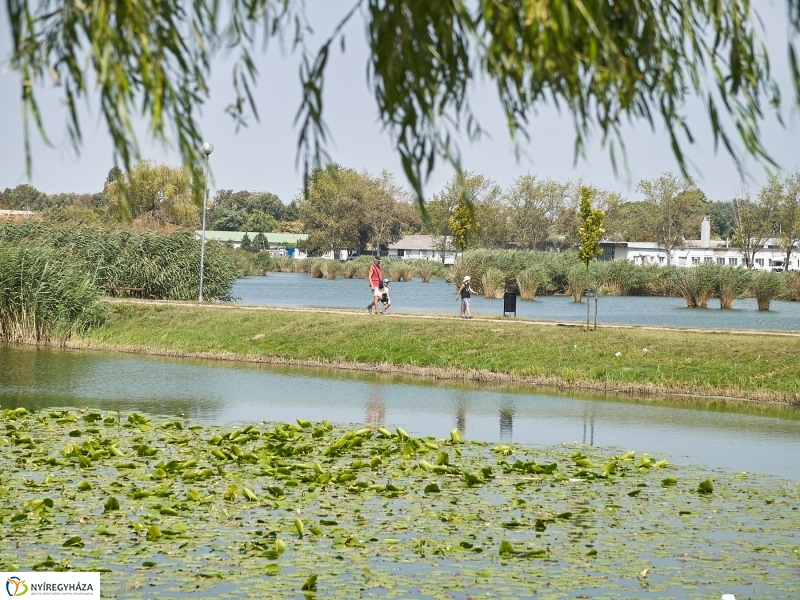 Egy nyári hétköznap a Bujtoson - fotó Szarka Lajos