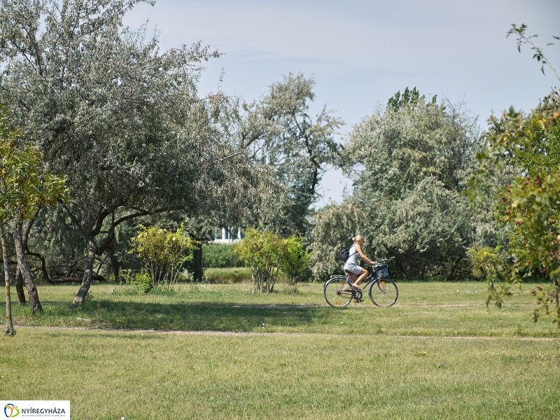 Egy nyári hétköznap a Bujtoson - fotó Szarka Lajos