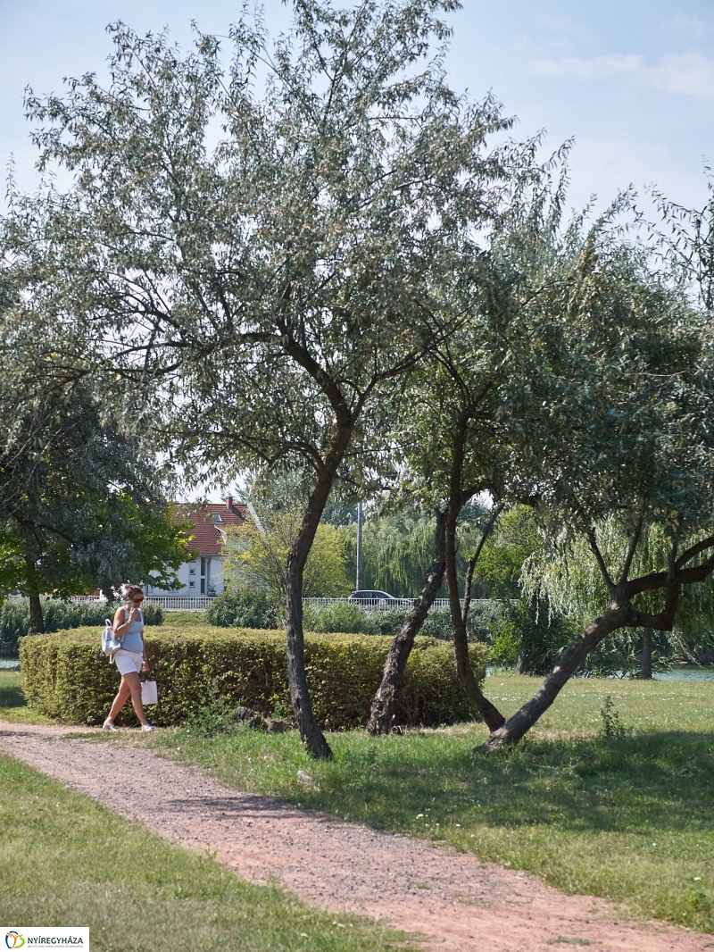 Egy nyári hétköznap a Bujtoson - fotó Szarka Lajos