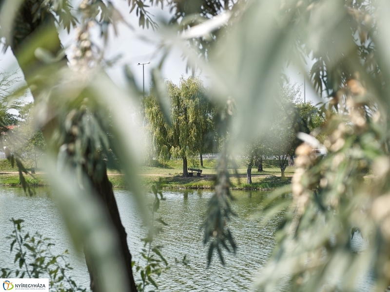 Egy nyári hétköznap a Bujtoson - fotó Szarka Lajos