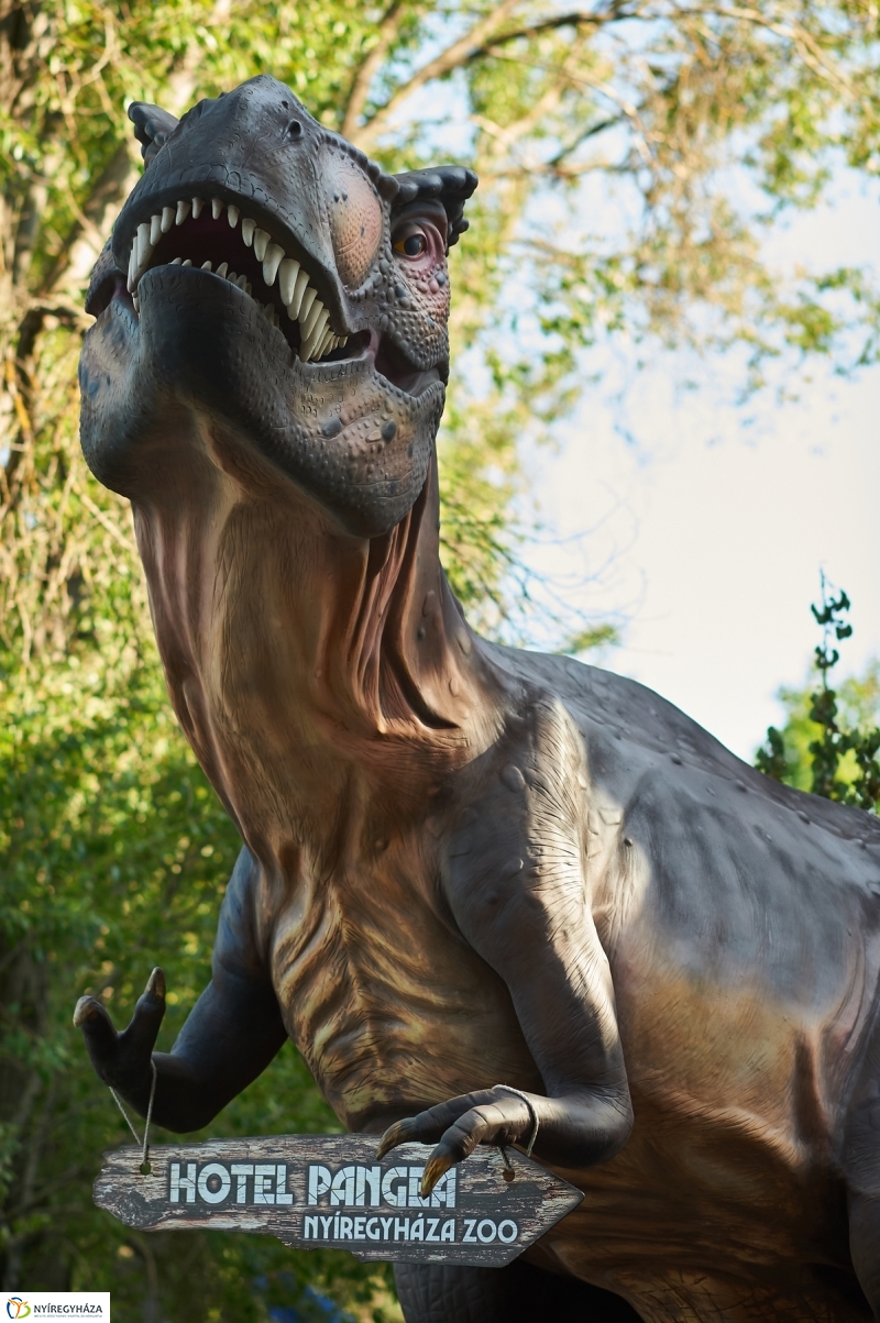 Egy vasárnap délután a Tófürdőn