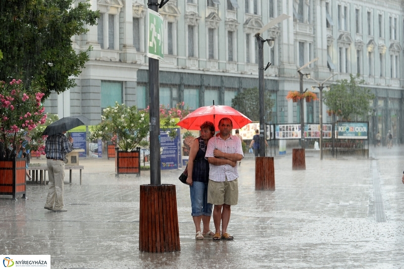 VIDOR Fesztivál nyitónap 1 - fotó Trifonov Éva
