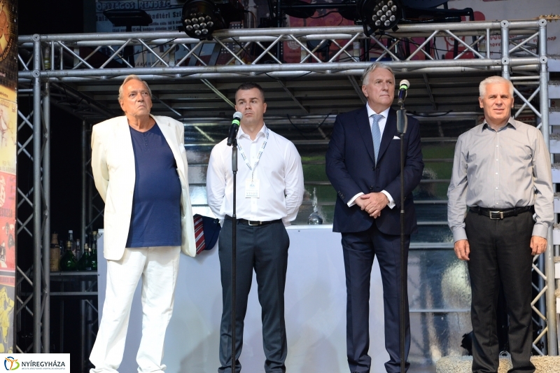 VIDOR Fesztivál nyitónap 1 - fotó Trifonov Éva