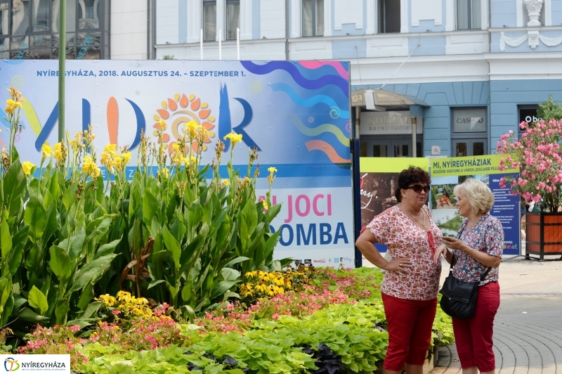 Rubint Réka a VIDOR fesztiválon - fotó Trifonov Éva