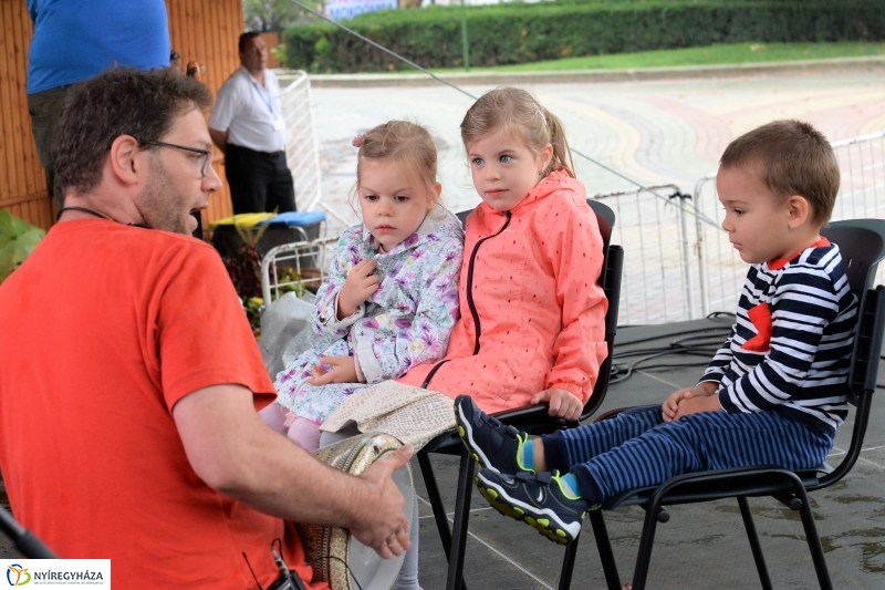 VIDOR fesztivál vasárnap délután - fotó Trifonov Éva