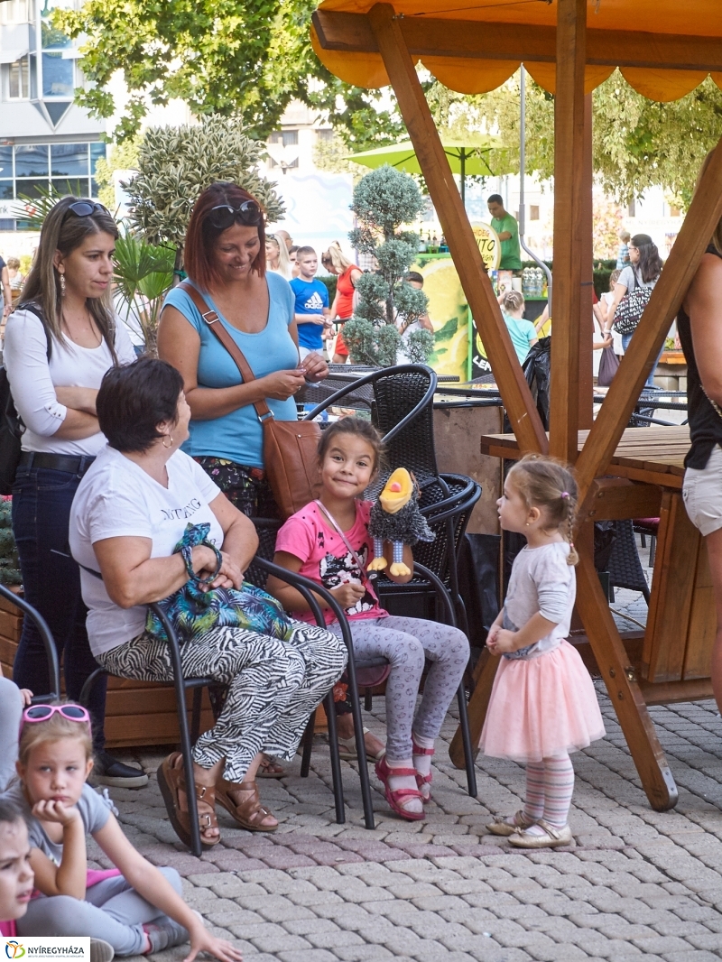 VIDOR pillanatok 20180827 - fotó Szarka Lajos