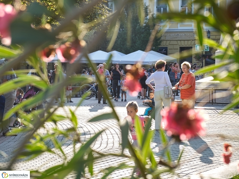 VIDOR pillanatok 20180827 - fotó Szarka Lajos