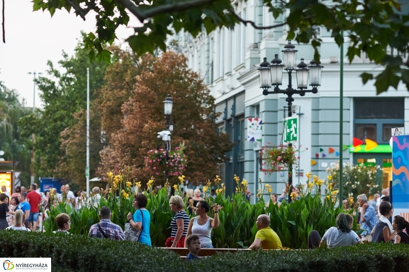 VIDOR Legénybúcsú - fotó Szarka Lajos