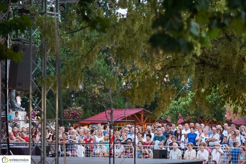 VIDOR Legénybúcsú - fotó Szarka Lajos