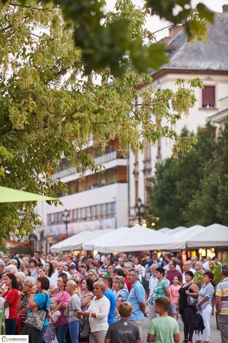 VIDOR Legénybúcsú - fotó Szarka Lajos