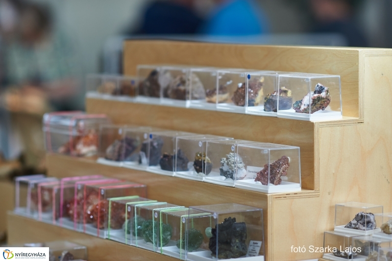 Ásványbörze Nyíregyházán - fotó Szarka Lajos