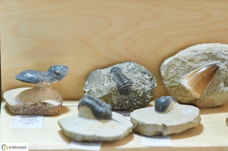 Ásványbörze Nyíregyházán - fotó Szarka Lajos