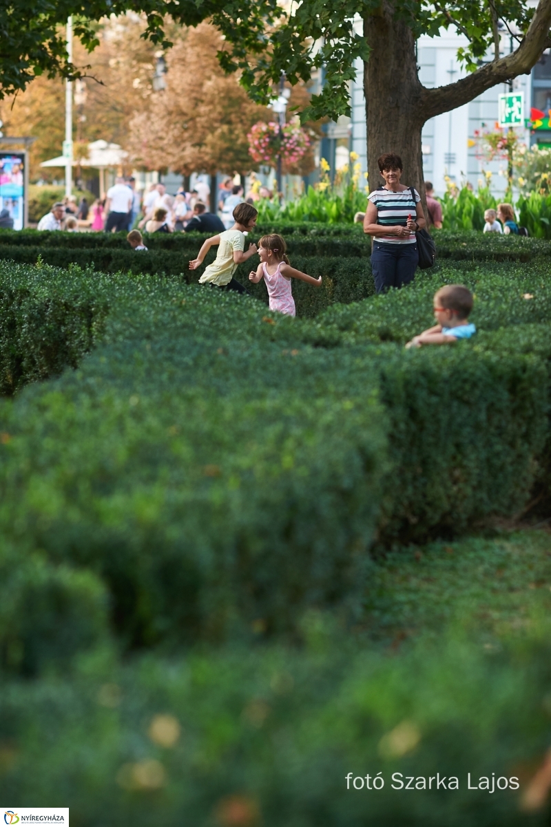 VIDOR utolsó nap 20180901 - fotó Szarka Lajos