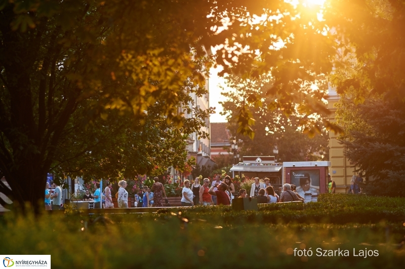 VIDOR utolsó nap 20180901 - fotó Szarka Lajos