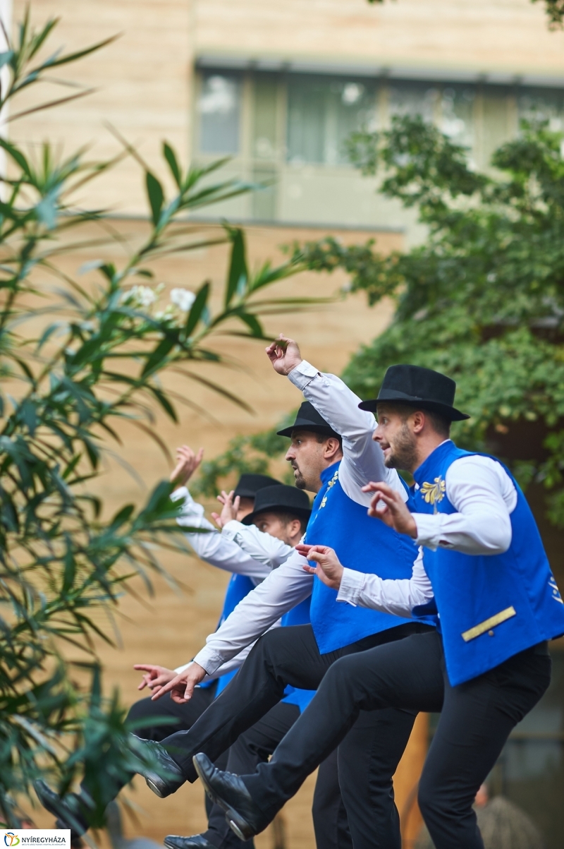 Hotel Pangea átadó - fotó Szarka Lajos