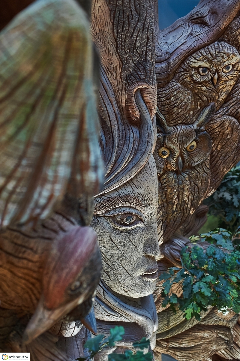 Hotel Pangea átadó - fotó Szarka Lajos