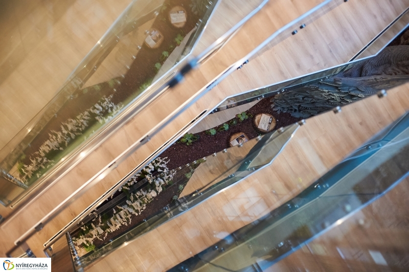 Hotel Pangea átadó - fotó Szarka Lajos