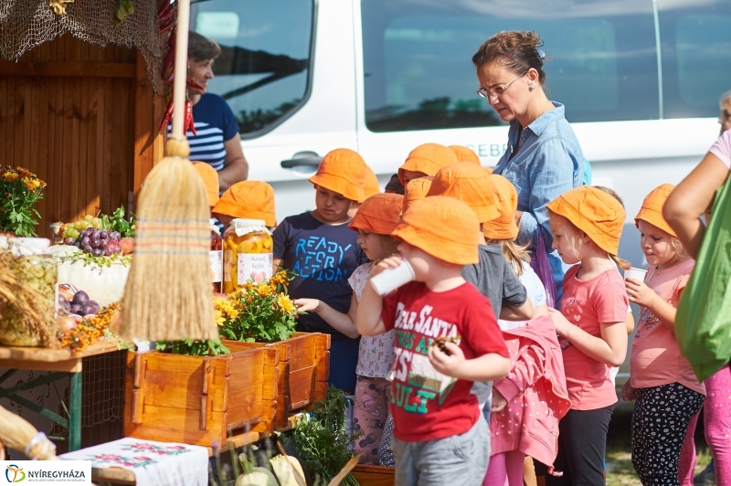 Közfoglalkoztatási kiállítás 2018 - fotó Szarka Lajos