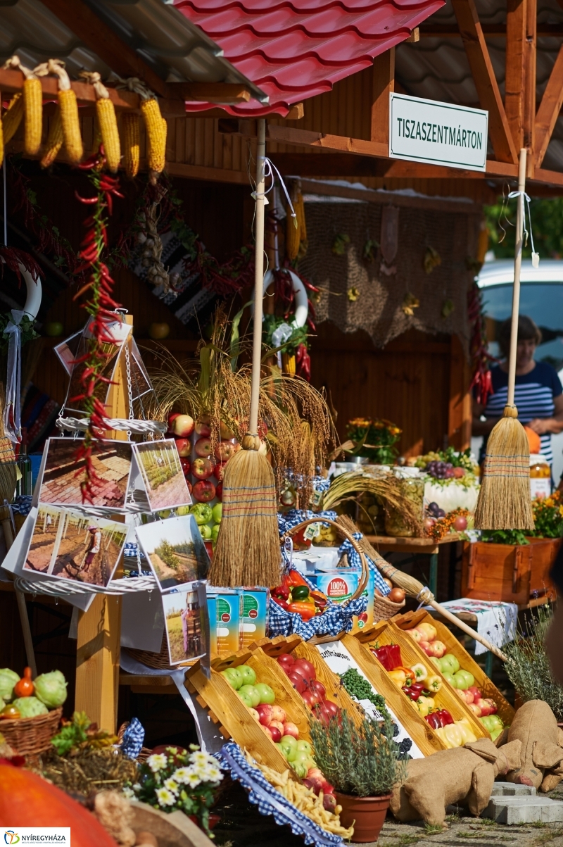 Közfoglalkoztatási kiállítás 2018 - fotó Szarka Lajos