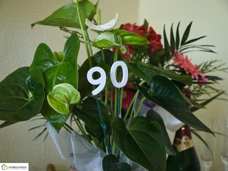 Szépkorú köszöntése Fehér Béláné - fotó Szarka Lajos