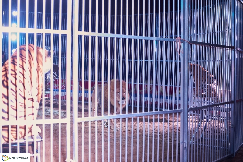 Egy kis cirkusz - fotó Szarka Lajos