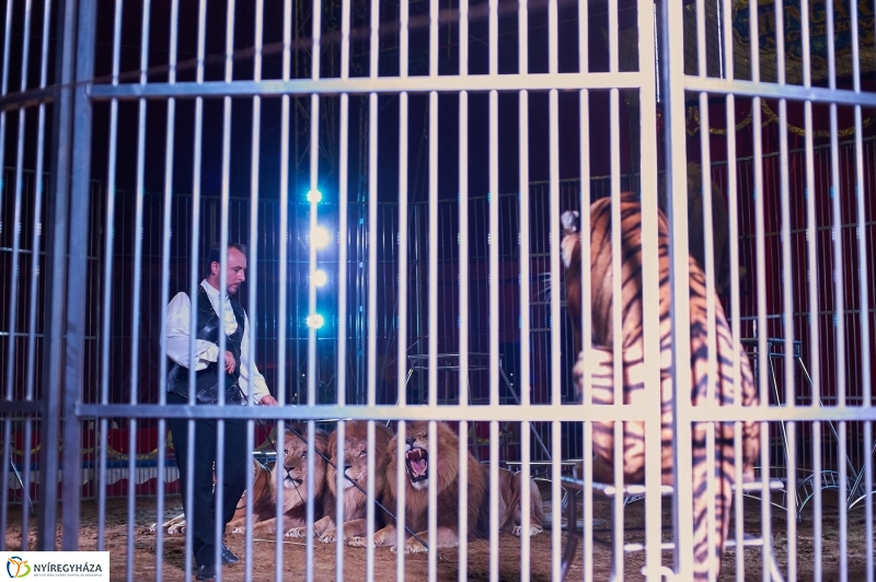 Egy kis cirkusz - fotó Szarka Lajos