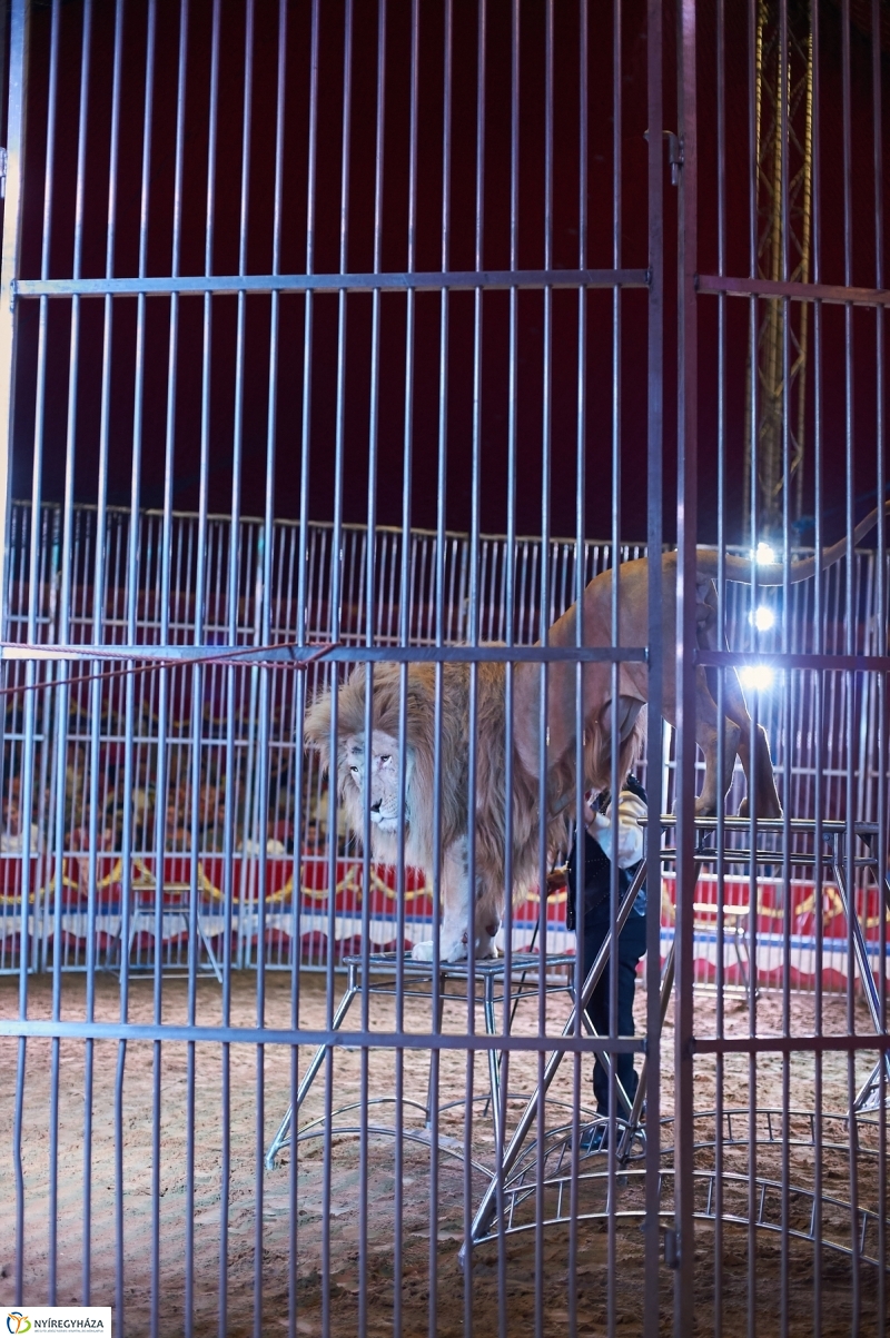 Egy kis cirkusz - fotó Szarka Lajos