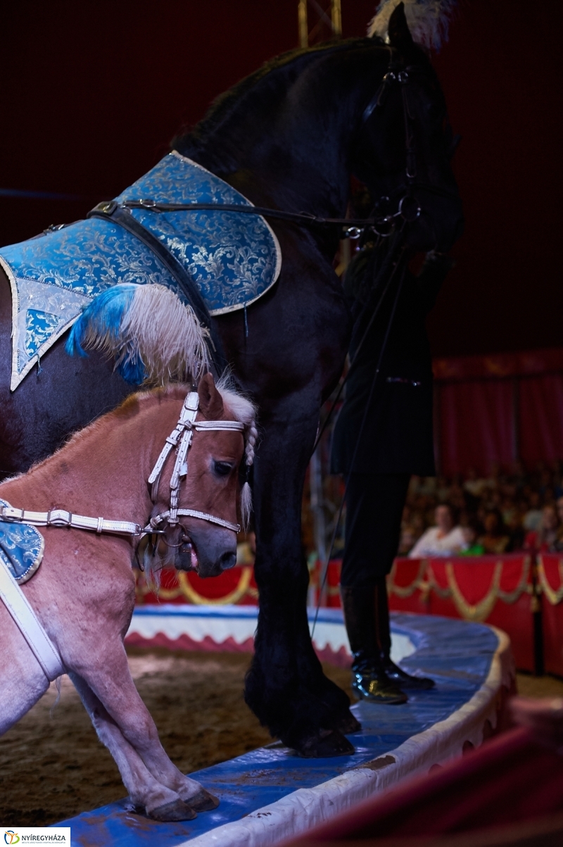 Egy kis cirkusz - fotó Szarka Lajos
