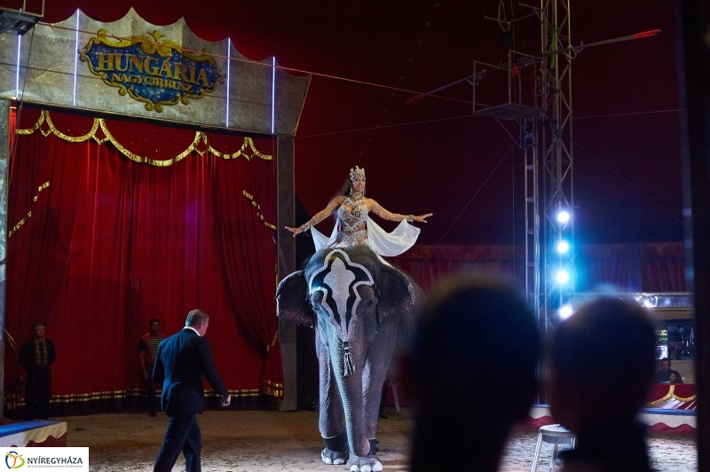 Egy kis cirkusz - fotó Szarka Lajos