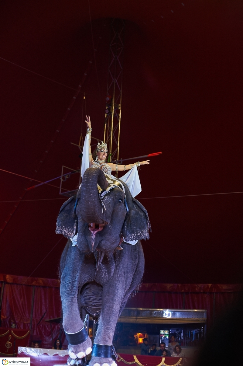 Egy kis cirkusz - fotó Szarka Lajos