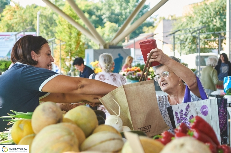 Piaci körkép 20180914
