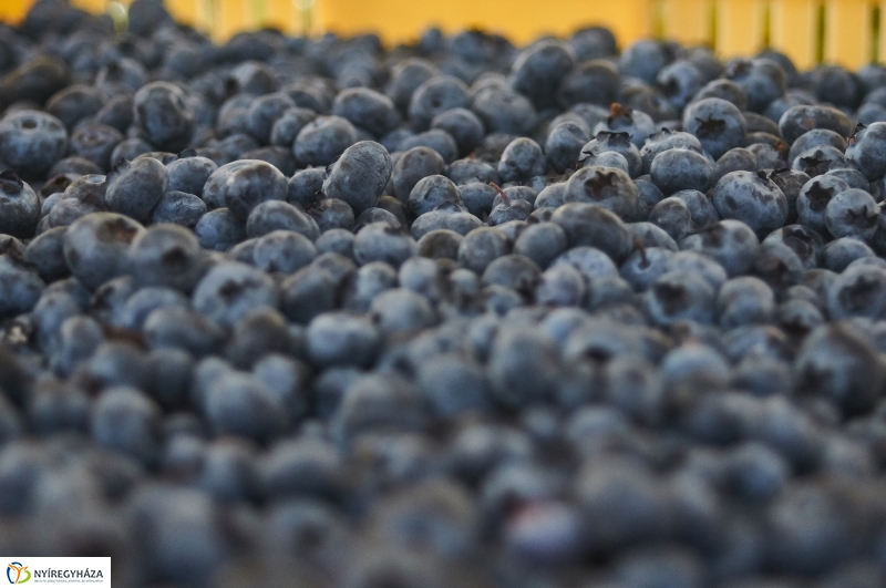 Piaci körkép 20180914