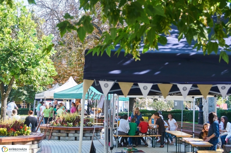 Autómentes nap 2018 - fotó Szarka Lajos